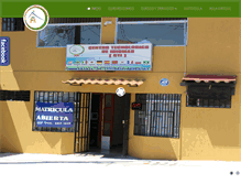 Tablet Screenshot of cti.co.cr